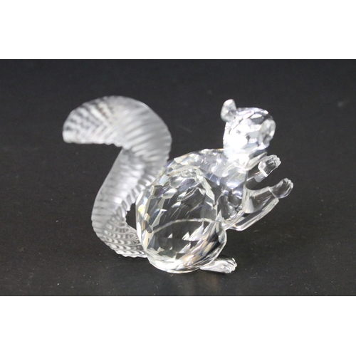 48 - Eight boxed Swarovski Crystal animals / animal sets to include 10th Anniversary Edition - The Squirr... 