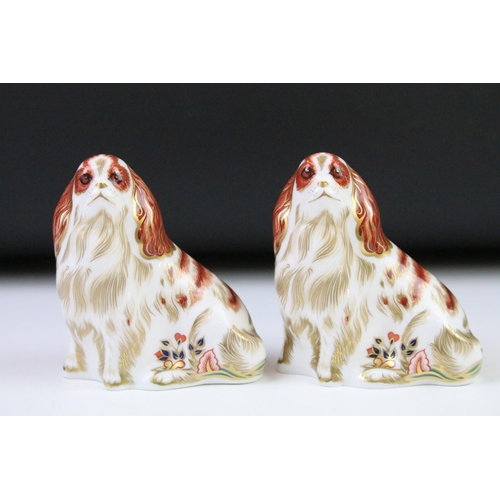 53 - Pair of Royal Crown Derby Cavalier King Charles Spaniel paperweights with gold stoppers