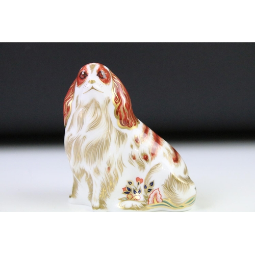 53 - Pair of Royal Crown Derby Cavalier King Charles Spaniel paperweights with gold stoppers