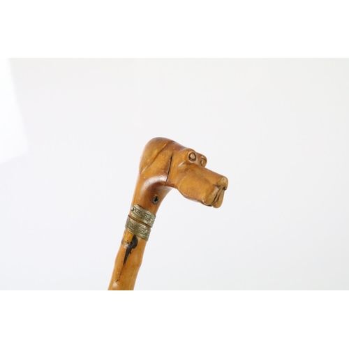 128 - Late 19th / early 20th century Fruitwood Walking Stick, the handle carved in the form of a dog’s / H... 