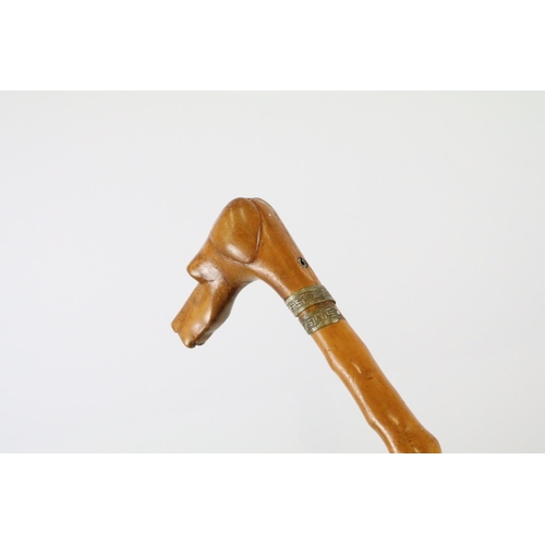 128 - Late 19th / early 20th century Fruitwood Walking Stick, the handle carved in the form of a dog’s / H... 