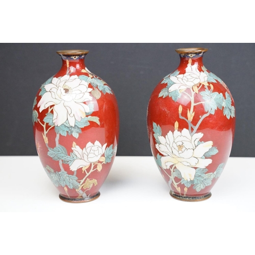 108 - Pair of Japanese baluster Cloisonné Vases decorated with chrysanthemums on a red ground, approx 19cm... 