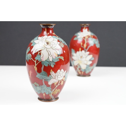 108 - Pair of Japanese baluster Cloisonné Vases decorated with chrysanthemums on a red ground, approx 19cm... 