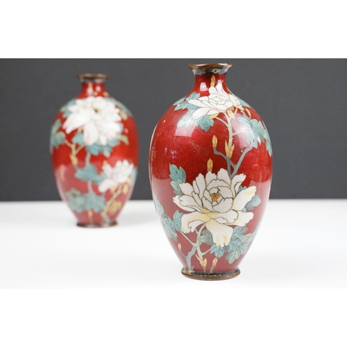 108 - Pair of Japanese baluster Cloisonné Vases decorated with chrysanthemums on a red ground, approx 19cm... 