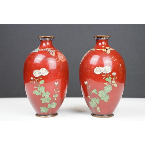 108 - Pair of Japanese baluster Cloisonné Vases decorated with chrysanthemums on a red ground, approx 19cm... 