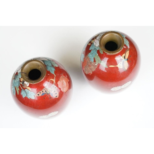 108 - Pair of Japanese baluster Cloisonné Vases decorated with chrysanthemums on a red ground, approx 19cm... 