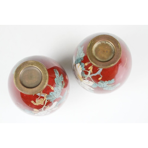 108 - Pair of Japanese baluster Cloisonné Vases decorated with chrysanthemums on a red ground, approx 19cm... 