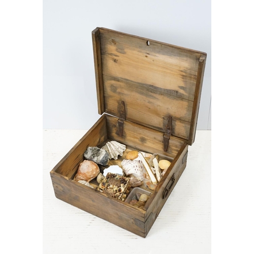 699 - Vintage pine box, containing a selection of shells, crystals etc