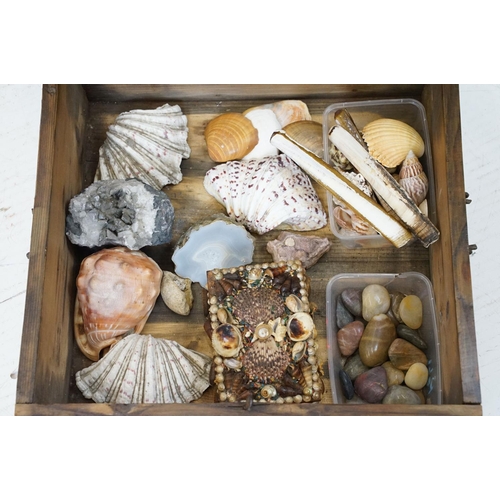 699 - Vintage pine box, containing a selection of shells, crystals etc