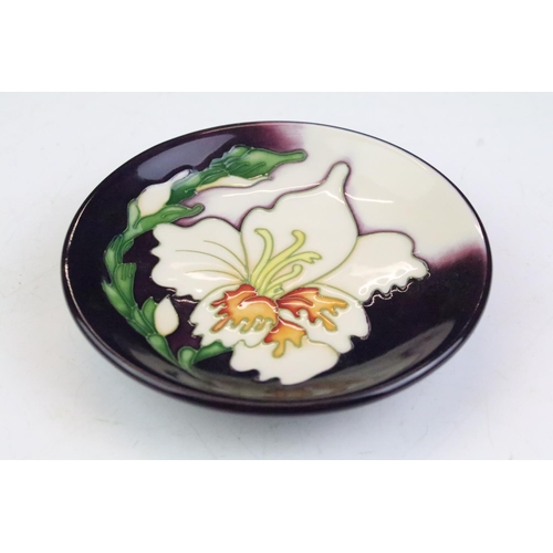 13 - Three Moorcroft small shallow dishes, including: Panache pattern, 12cm diameter, boxed and two other... 