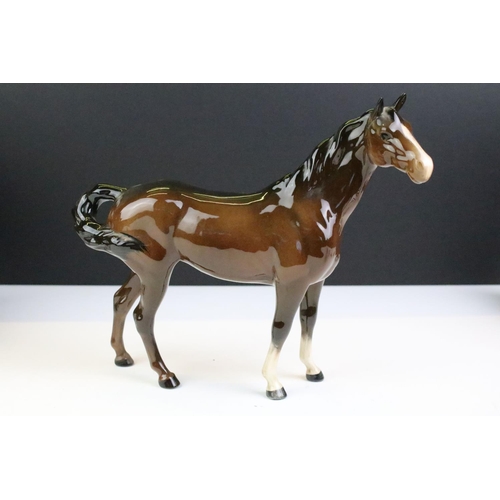 27 - Collection of seven Beswick porcelain horses / ponies to include six brown gloss examples and a matt... 