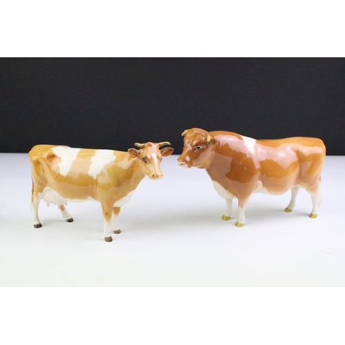 84 - Beswick 'CH. Sabrina's Sir Richmond 14th' Guernsey Bull, together with a Beswick Guernsey Cow (appro... 