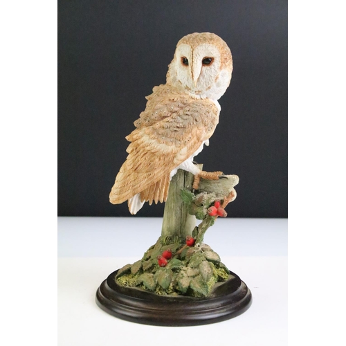 154 - Collection of Country Artists and other owl figurines to include Franklin Mint Barn Owl and five res... 