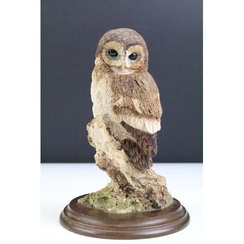 154 - Collection of Country Artists and other owl figurines to include Franklin Mint Barn Owl and five res... 