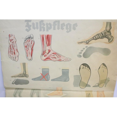 166 - Mid 20th C Deutsches Hygiene Museum 'fußpflege' foot care anatomical / medical poster depicting vari... 