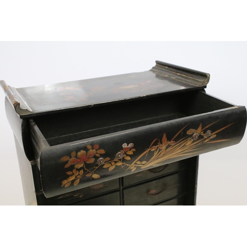 748 - Oriental lacquered cabinet, the japanned surface painted with flowers and branches, with an arrangem... 