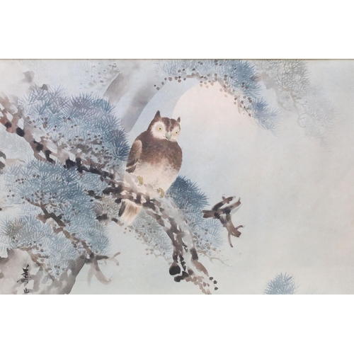 590 - Chinese School, owl perched on a branch, watercolour, signed lower left with red character marks, la... 