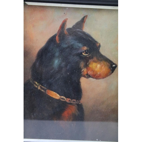 597 - Ebonized framed oil painting of a fighting dog, 20 x 15.5cm, framed and glazed