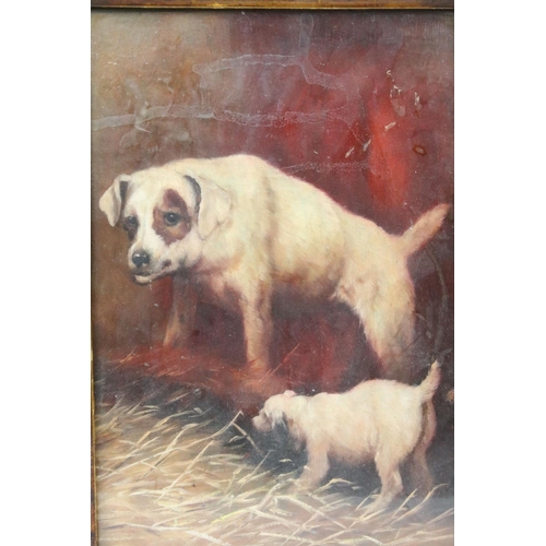 600 - Oil on board, classical study of a terrier and a puppy in a barn, 25 x 16cm, framed and glazed