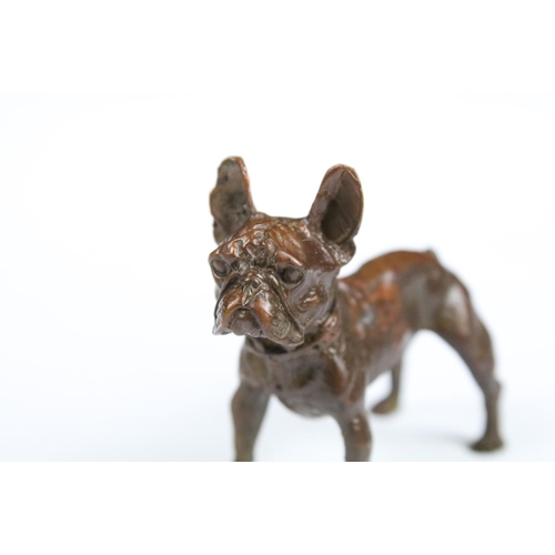 312 - An ornamental bronze figure of a French Bulldog.