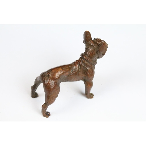 312 - An ornamental bronze figure of a French Bulldog.