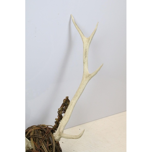 448 - Willow stag's head sculpture, with antlers, 94cm high