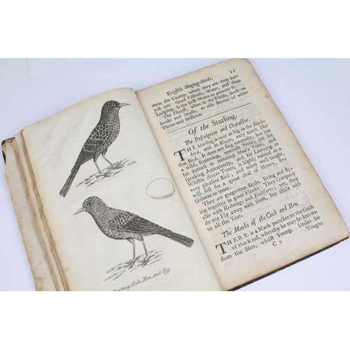 346 - Books - A Natural History of English Song-birds, Eleazar Albin, 1737, containing engravings of the c... 