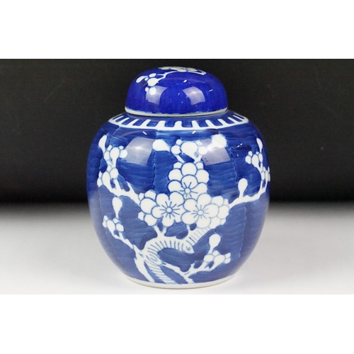 30 - Chinese ginger jar and cover, the blue ground with white prunus branches, 15cm high