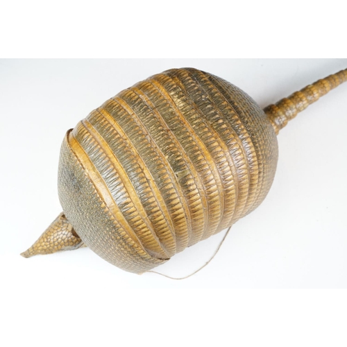 111 - Taxidermy - A taxidermy armadillo shell, approx 68cm long