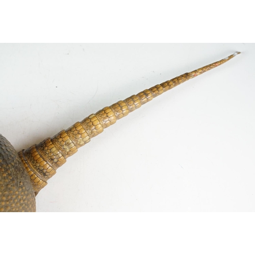 111 - Taxidermy - A taxidermy armadillo shell, approx 68cm long