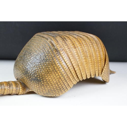 111 - Taxidermy - A taxidermy armadillo shell, approx 68cm long