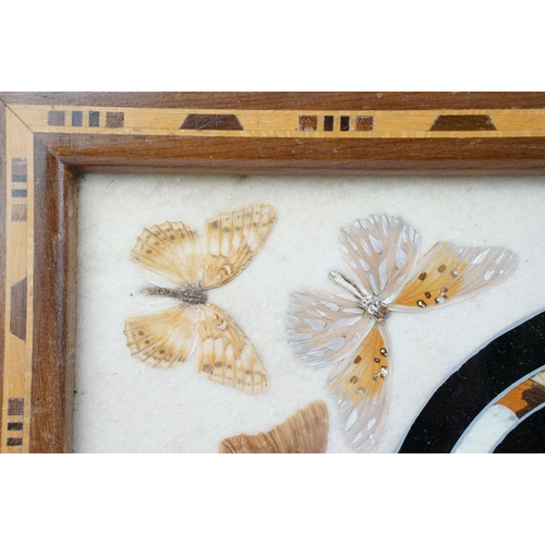 119 - Early 20th century inlaid wooden tray with butterfly specimens and masonic butterfly wing emblem to ... 