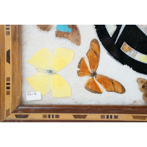 119 - Early 20th century inlaid wooden tray with butterfly specimens and masonic butterfly wing emblem to ... 