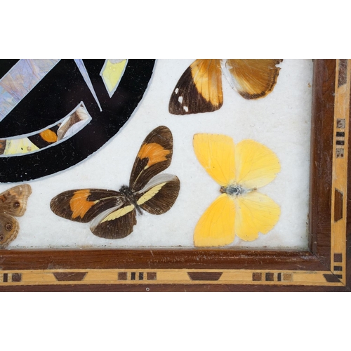 119 - Early 20th century inlaid wooden tray with butterfly specimens and masonic butterfly wing emblem to ... 