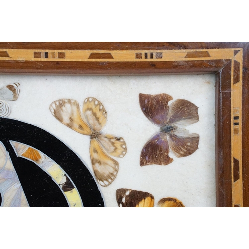 119 - Early 20th century inlaid wooden tray with butterfly specimens and masonic butterfly wing emblem to ... 