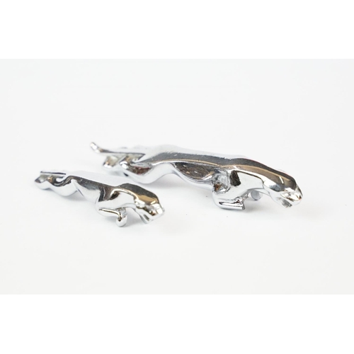 185 - Two chrome jaguar car mascots, together with two miniature chrome jaguars and a black resin jaguar (... 