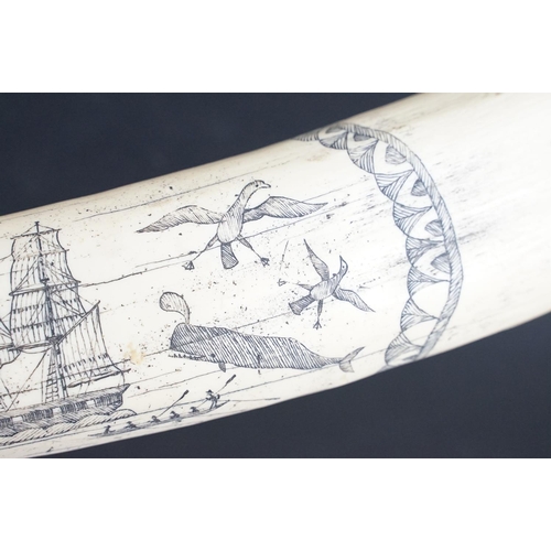 138 - Faux scrimshaw resin whale tooth carved with 'The Ship - Charles W. Morgan - New Bedford', approx 58... 