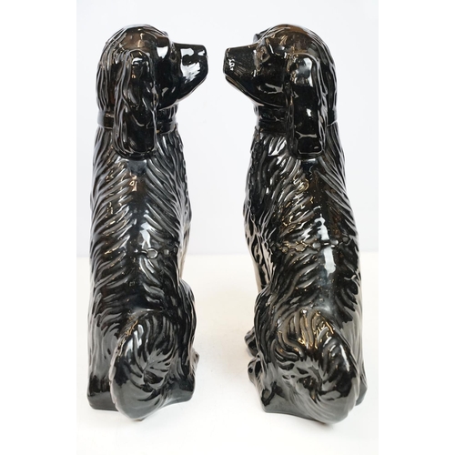 20 - Pair of black dogs in Staffordshire style, 35cm high