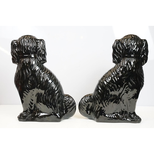 20 - Pair of black dogs in Staffordshire style, 35cm high