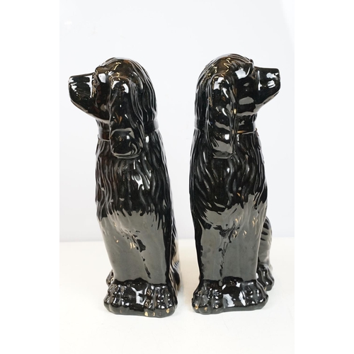 20 - Pair of black dogs in Staffordshire style, 35cm high