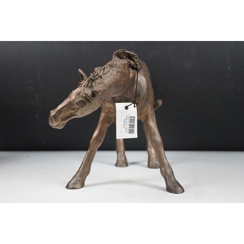 86 - Group of four Frith Sculpture bronzed resin horses & foal, the lot to include Scout, Freckles, Jingo... 