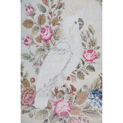 560 - Woolwork picture of a cockatoo, 75 x 67cm, gilt framed