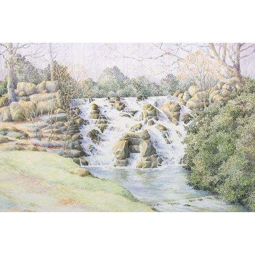 17 - Wendy Trinder, a pair: waterfall, pen and watercolour, signed lower right and woodland walk, pen and... 