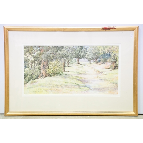 17 - Wendy Trinder, a pair: waterfall, pen and watercolour, signed lower right and woodland walk, pen and... 