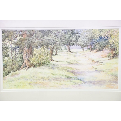 17 - Wendy Trinder, a pair: waterfall, pen and watercolour, signed lower right and woodland walk, pen and... 