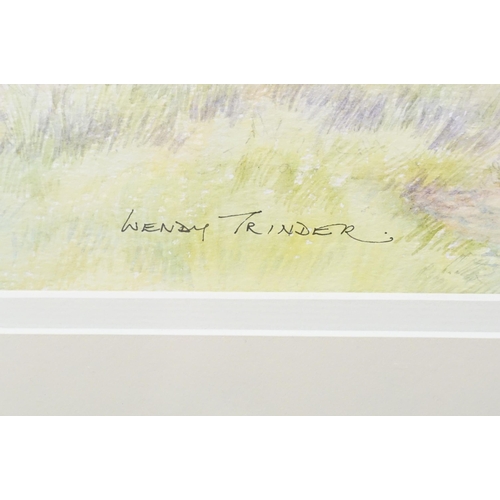 17 - Wendy Trinder, a pair: waterfall, pen and watercolour, signed lower right and woodland walk, pen and... 