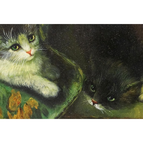 68 - English School, study of cat and kittens, oil on panel, indistinctly signed lower left, 28.5 x 38.5c... 