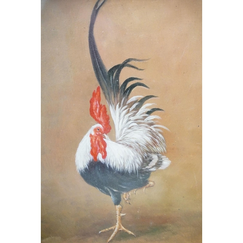 87 - Framed oil on board study of a cockerel, 24cm x 19.5cm