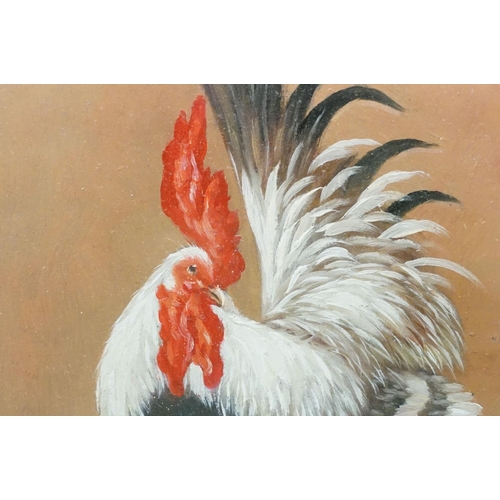 87 - Framed oil on board study of a cockerel, 24cm x 19.5cm