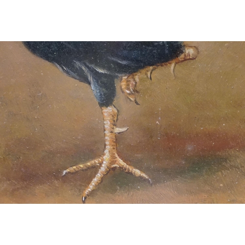 87 - Framed oil on board study of a cockerel, 24cm x 19.5cm